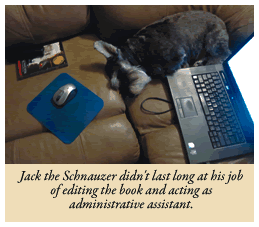 Jack the Schnauzer at work